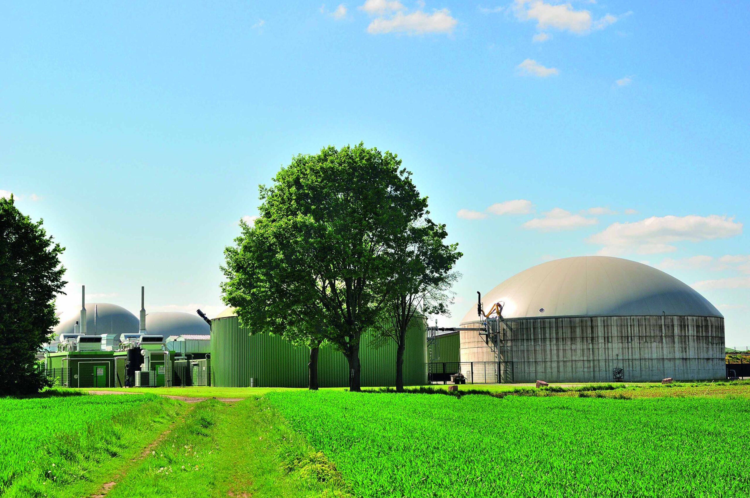 Biogas-ThinkstockPhotos-156521108