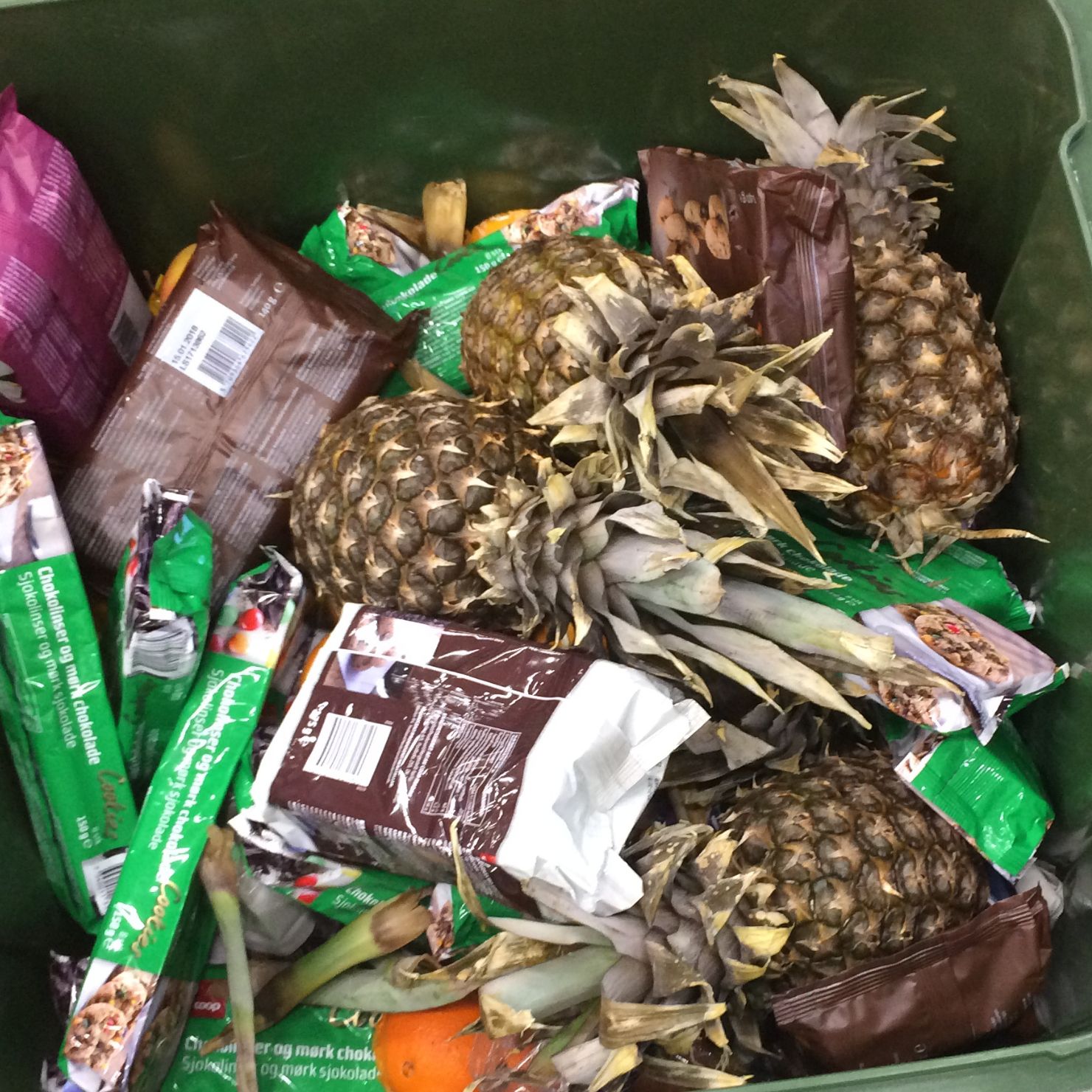 Typical-food-waste-for-depackaging-machine-DRM-1480x1480-1